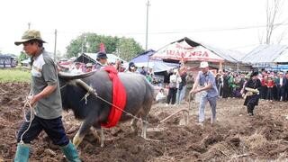 Đắk Lắk: Khát vọng ấm no trên vùng đất mới từ lễ hội Lồng Tồng