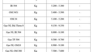 Giá lúa gạo hôm nay ngày 20/3: Giao dịch trầm lắng