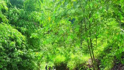 Giao thông nông thôn - điểm nhấn nông thôn mới Hoàng Su Phì