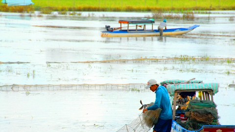 Nông dân muốn trồng lúa, chính quyền muốn đón lũ