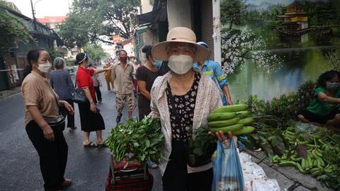 Nghịch lý giá rau mùa dịch