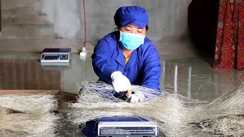 Bắc Kạn: Trợ sức cho phát triển sản phẩm công nghiệp nông thôn tiêu biểu