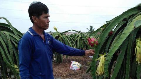 Đạt lợi nhuận cao từ mô hình sản xuất kết hợp