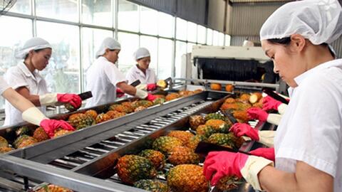 Hoa Kỳ tăng nhập khẩu rau quả chế biến từ thị trường Việt Nam