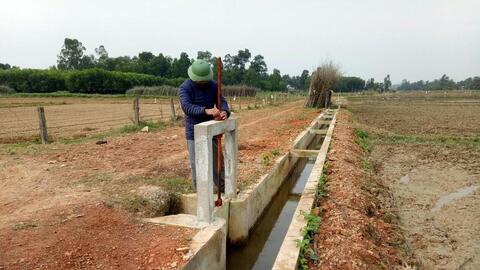 Yên Thành sẵn sàng cho vụ lúa xuân