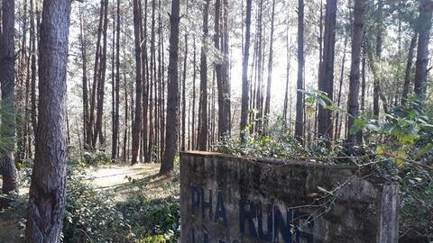 Nông thôn Tây Bắc: Than Uyên giữ rừng để giảm nghèo