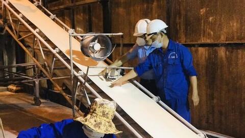 Công ty cổ phần mía đường Sông Con chủ động phòng dịch để sản xuất