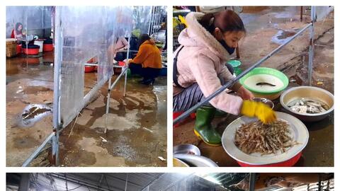 Tàu thuyền ngưng đánh bắt, hải sản khan hàng, tăng giá