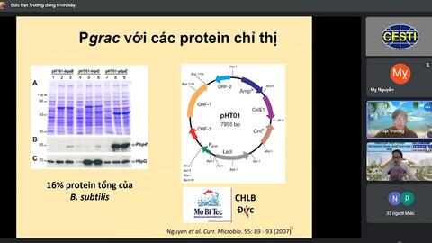 Ứng dụng protein tái tổ hợp để sản xuất vaccine cho chăn nuôi