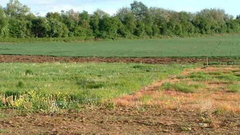 Chuyển mục đích sử dụng đất trồng lúa trên địa bàn tỉnh Phú Thọ