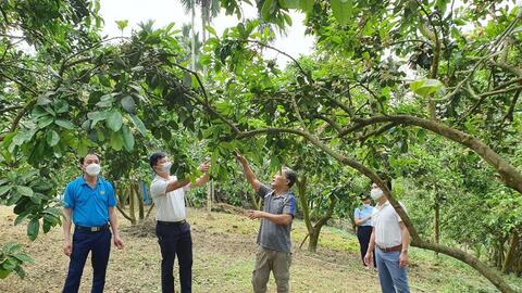 Xây dựng vườn mẫu NTM ở Tuyên Quang: Tiền đề hình thành vùng du lịch nông thôn