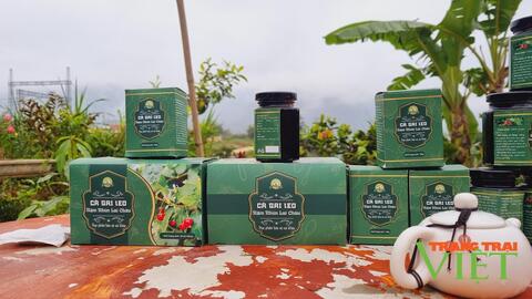 Lai Châu: Nậm Nhùn đẩy mạnh phát triển chương trình OCOP