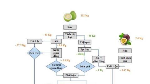 Nghiên cứu phát triển và chế biến thử nghiệm các sản phẩm từ quả bưởi