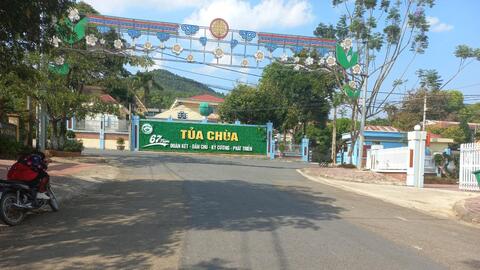 Điện Biên: Chè Shan tuyết cổ thụ được công nhận Cây di sản Việt Nam