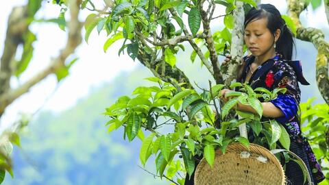 Xây dựng Nông thôn mới ở Tủa Chùa: Công tác tuyên truyền là yếu tố quyết định sự thành công