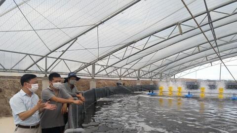 Quảng Ninh: Chủ động ứng phó mưa, bão trong nuôi trồng thuỷ sản