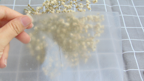 Chế tạo màng bọc ăn được từ tinh bột sắn