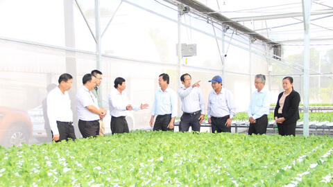 Nhân rộng các vùng rau ứng dụng công nghệ cao