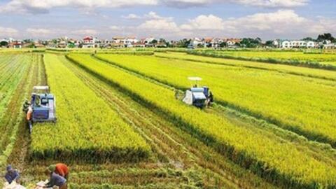 Việt Nam có 28.002.574 ha đất nông nghiệp