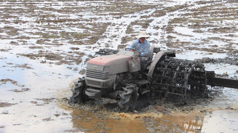 Để vụ lúa Đông Xuân 2023-2024 thắng lợi