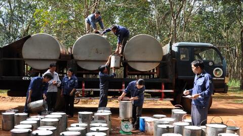 Doanh thu, lợi nhuận lao dốc, Tập đoàn Công nghiệp Cao su hạ kế hoạch lợi nhuận gần 1.000 tỷ đồng