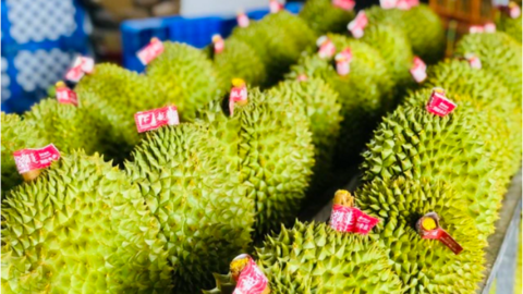 Malaysia xuất khẩu sầu riêng tươi sang Trung Quốc, tăng áp lực cạnh tranh với Việt Nam, Thái Lan
