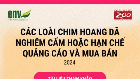 Bảo tồn chim hoang dã: Cần một giải pháp hiệu quả và bền vững