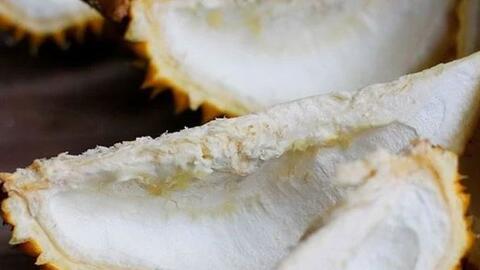 Sinh viên chế tạo siêu tụ điện phục vụ y học từ vỏ sầu riêng