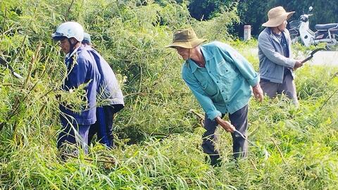 Nông dân Thừa Thiên Huế: Nói “không” với bao bì bảo vệ thực vật trên đồng