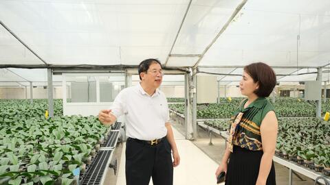 Từ mô hình nông nghiệp công nghệ cao đến khát vọng trồng “rừng trong thành phố”