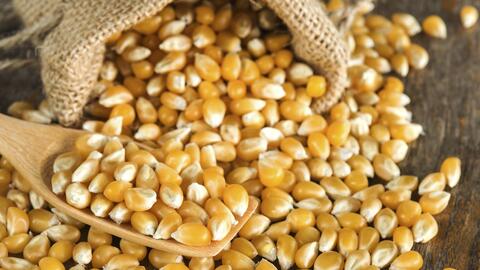 Mexico: Sản lượng nông sản bị ảnh hưởng do biến đổi khí hậu