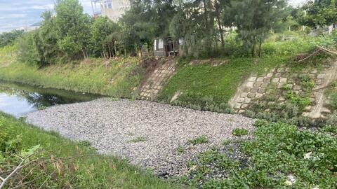 Đà Nẵng: Tập trung vớt khoảng 7 tấn cá chết trắng tại các kênh