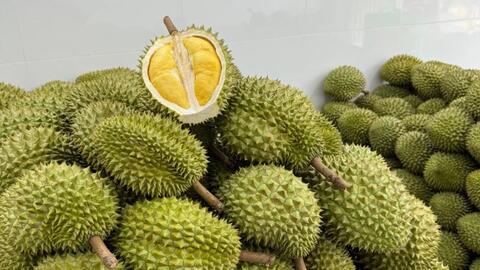 Trung Quốc ăn sầu riêng nhiều nhất thế giới, phát thải ra lượng CO2 khổng lồ