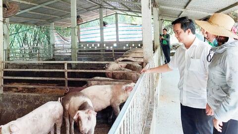 Thừa Thiên Huế: Hướng đến nền nông nghiệp xanh, sạch, bền vững