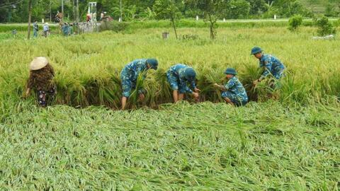 Bài cuối: Nông nghiệp thông minh, thích ứng với biến đổi khí hậu