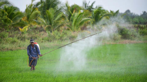 Đất nông nghiệp suy kiệt trong khi hơn 150 triệu tấn phụ phẩm nông nghiệp bị lãng phí