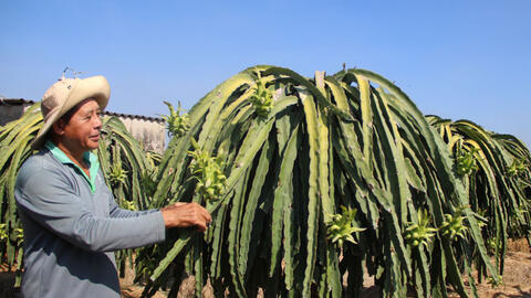 Một năm thắng lợi của ngành Nông nghiệp