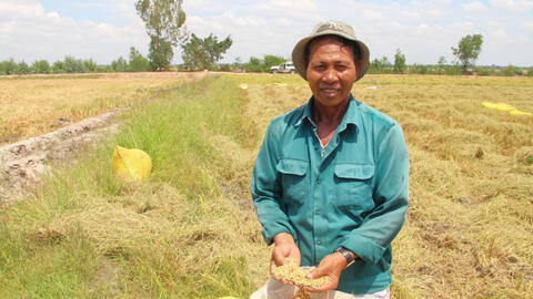 Tập trung sản xuất vụ lúa Đông Xuân 2024-2025