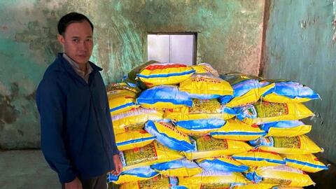 Quảng Nam: Khởi tố đối tượng sản xuất lúa giống giả