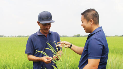 Bảo đảm nguồn nước phục vụ sản xuất