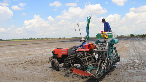 Chủ động để có vụ Hè Thu 2025 thắng lợi!