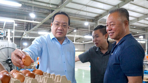 Phó Chủ tịch UBND tỉnh Nguyễn Minh Lâm khảo sát các trang trại chăn nuôi tiêu biểu tại xã Trà Vong và xã Tân Biên