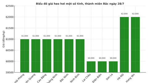 Giá heo hơi hôm nay 28/7/2025: Tiếp tục giảm nhẹ