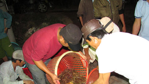 Tây Ninh: Phấn đấu tổng sản lượng nuôi trồng thủy sản năm 2025 đạt 174.000 tấn