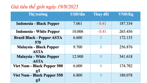 Giá tiêu hôm nay 19/9/2025: Thấp nhất lại Gia Lai, Đồng Nai