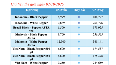 Giá tiêu hôm nay 2/10/2025: Đồng loạt giảm mạnh