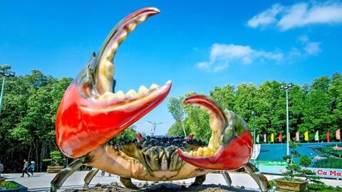 Ngày hội Cua Cà Mau - Lần thứ II năm 2025 có gì đặc biệt?