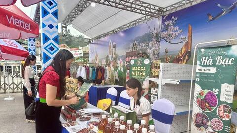 358 đại biểu dự phiên trù bị Đại hội XV Đảng bộ tỉnh Điện Biên