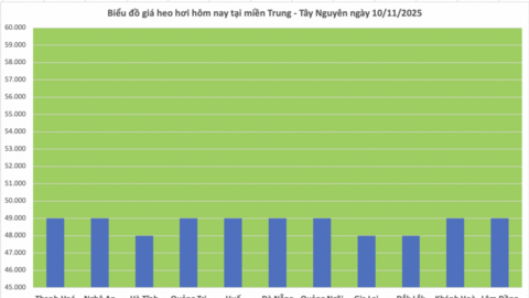 Giá heo hơi hôm nay 10/11/2025: Phiên đầu tuần lặng sóng