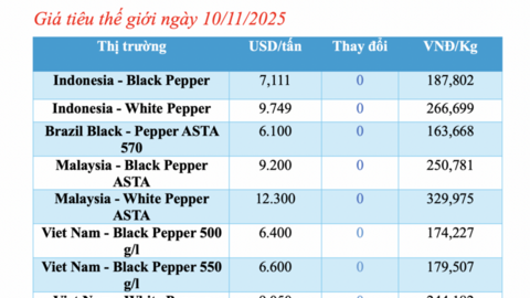 Giá tiêu hôm nay 10/11/2025: Thấp nhất 145.000 đồng/kg